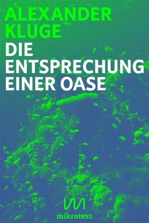 Cover of the book Die Entsprechung einer Oase by Jan Fischer