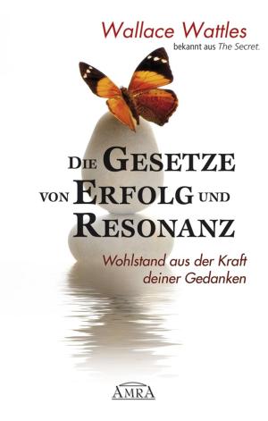 Book cover of Die Gesetze von Erfolg und Resonanz