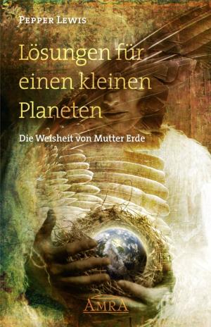 Cover of the book Lösungen für einen kleinen Planeten by Javier Cabanyes Truffino