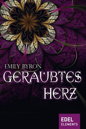 Cover of the book Geraubtes Herz by Birgit Schlieper