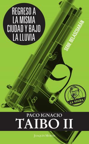 Cover of the book Regreso a la misma ciudad y bajo la lluvia by María Blanco González