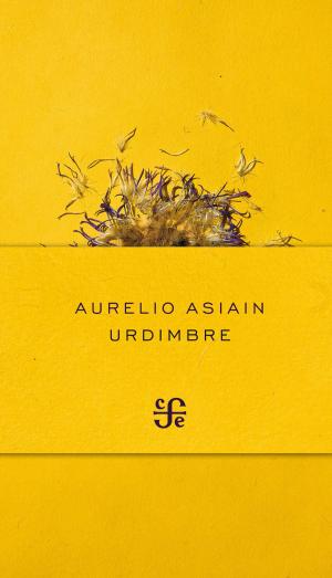 Cover of the book Urdimbre by Amparo Dávila