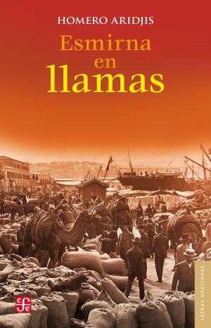 Book cover of Esmirna en llamas