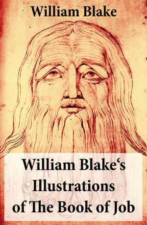 Book cover of William Blake's Illustrations of The Book of Job (Illuminated Manuscript with the Original Illustrations of William Blake)