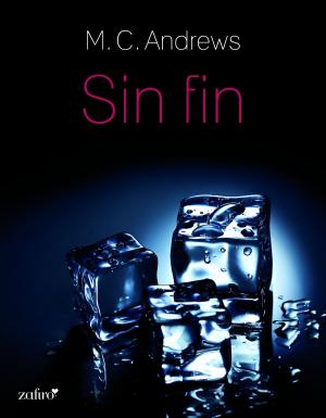 Cover of the book Sin fin by DD Lorenzo