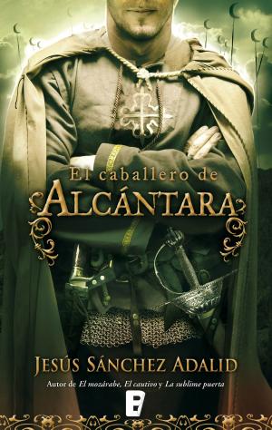 Cover of the book El caballero de Alcántara by Liv Strömquist