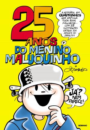 Cover of the book 25 anos do Menino Maluquinho by Padre Marcelo Rossi
