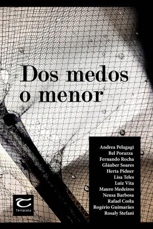 Cover of the book Dos medos o menor by S.S. Delaunay