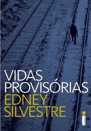 Cover of the book Vidas provisórias by Moïra Fowley-Doyle