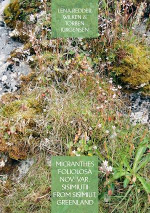 Cover of the book Micranthes foliolosa nov. var. sisimiutii from Sisimiut, Greenland by Ute Fischer, Bernhard Siegmund
