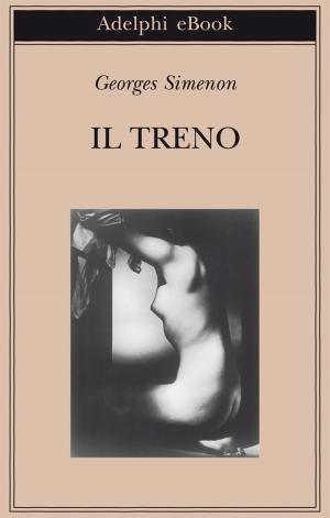 Book cover of Il treno