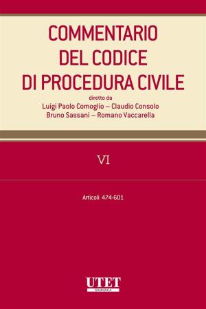 Cover of the book Commentario al codice di procedura civile - vol. 6 by Cicerone