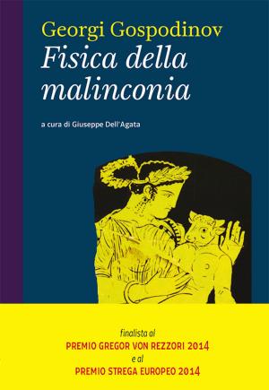 Cover of the book Fisica della malinconia by Emilio Salgari