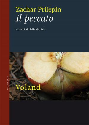Cover of the book Il peccato by Emil Cioran