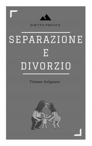 Cover of Separazione e divorzio. Principali aspetti sostanziali e processuali.