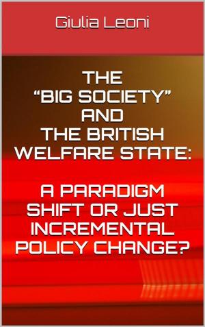 Cover of The “big society” and the british welfare state: a paradigm shift or just incremental policy change?