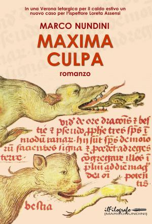 Cover of the book Maxima culpa by Mark Goldberg