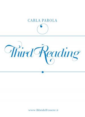 bigCover of the book The third reading by 