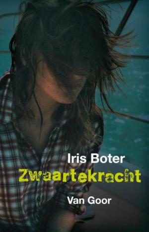 Cover of the book Zwaartekracht by Suzanne Braam, Dick Laan