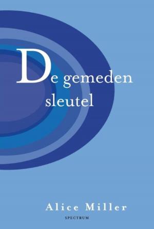 Cover of the book De gemeden sleutel by Carola van Bemmelen, Sharon Numan