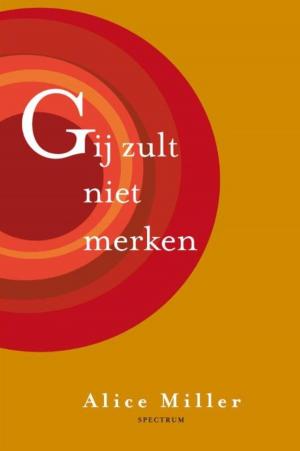 Cover of the book Gij zult niet merken by Alexandra Adornetto