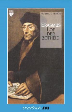 Cover of the book Lof der zotheid by Bies van Ede