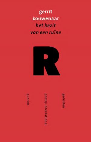 Cover of the book Het bezit van een ruine by David Pefko
