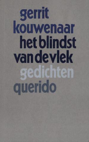 Cover of the book Het blindst van de vlek by Anthony Barbaria
