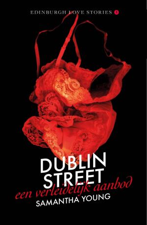 Cover of the book Een verleidelijk aanbod by Danielle Steel