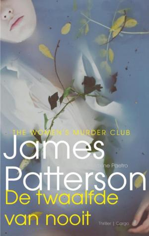 Cover of the book De twaalfde van nooit by James Patterson
