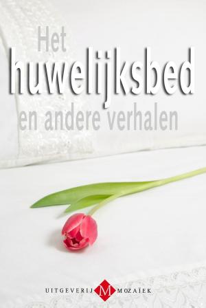 Cover of the book Het huwelijksbed en andere verhalen by Marja van der Linden