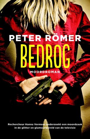 Cover of the book Bedrog by Nico van der Voet