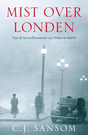 Cover of the book Mist over Londen by Gert van den Brink