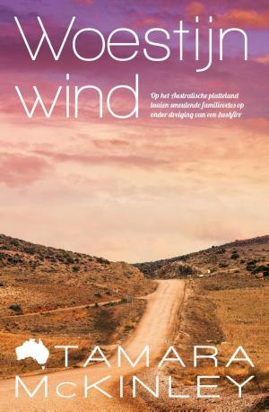 Cover of the book Woestijnwind by Tsjitske Waanders