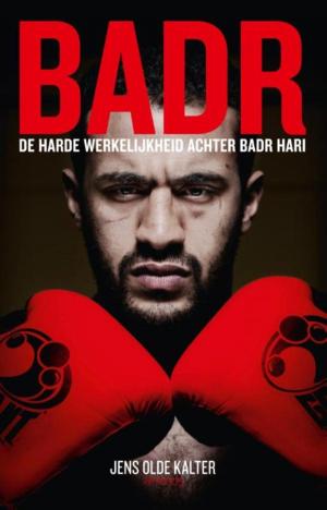 Cover of the book Badr by Iris Sommer