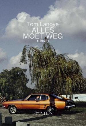 Cover of the book Alles moet weg by Kate Williams