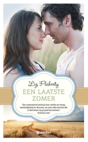 Cover of the book Een laatste zomer by Willem Vissers