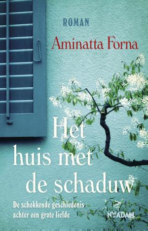 Cover of the book Het huis met de schaduw by Maarten van Rossem