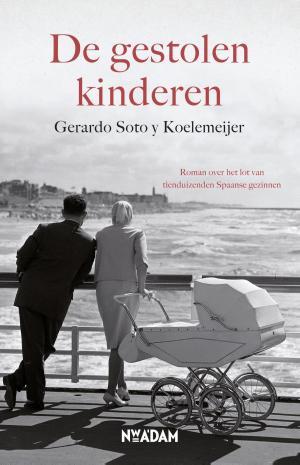 Cover of the book De gestolen kinderen by Michael Ondaatje