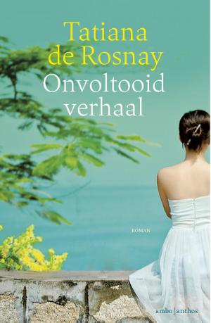 Book cover of Onvoltooid verhaal