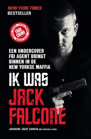 Cover of the book Ik was Jack Falcone by Merel van Groningen