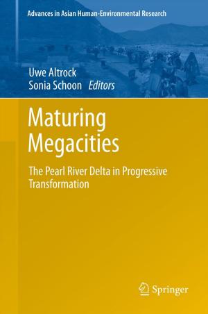 Cover of the book Maturing Megacities by N. Laor, J. Agassi