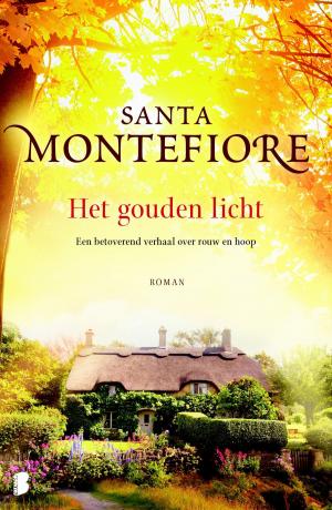 Cover of the book Het gouden licht by Nora Roberts