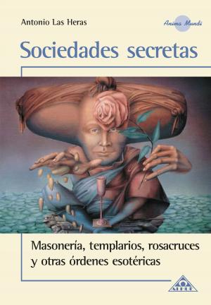 Book cover of Sociedades Secretas EBOOK
