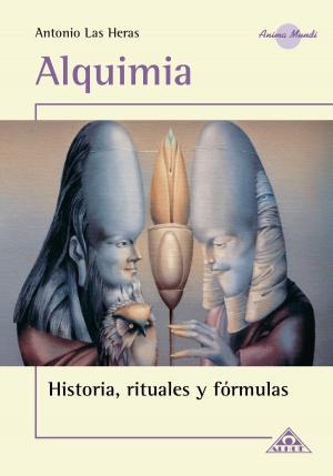 Book cover of Alquimia EBOOK