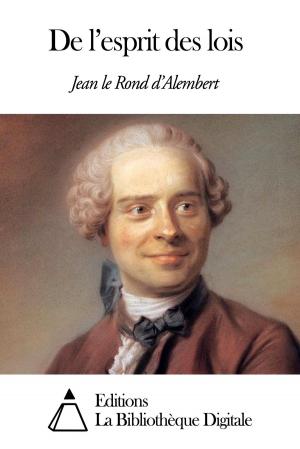 Cover of the book De l’esprit des lois by James Fenimore Cooper