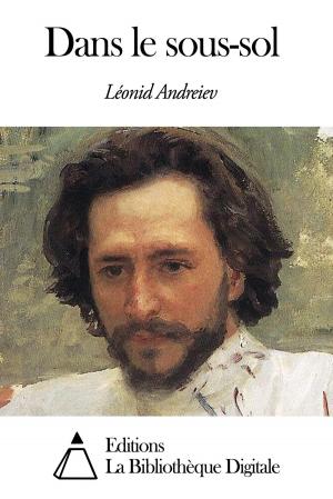 Cover of the book Dans le sous-sol by Comtesse de Ségur