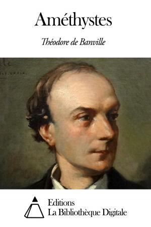 Cover of the book Améthystes by Jean-Baptiste Lamarck
