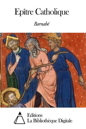 Cover of the book Epître Catholique by Saint-René Taillandier