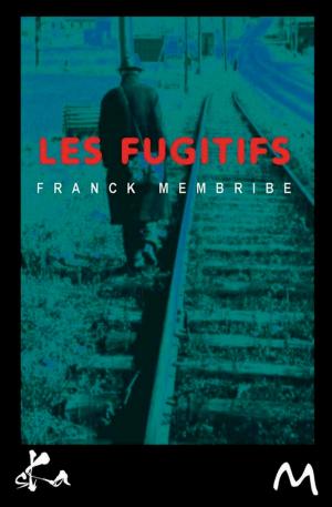 Cover of the book Les fugitifs by Damien Ruzé